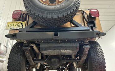 Jeep-Cj5-1980-brown-140013-11