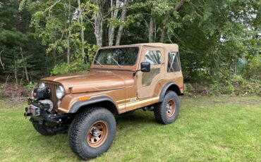 Jeep-Cj5-1980-brown-140013-2