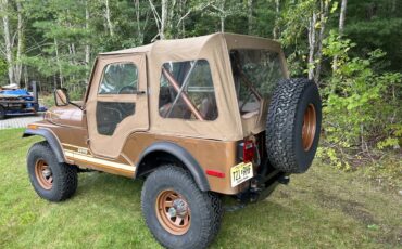 Jeep-Cj5-1980-brown-140013-3