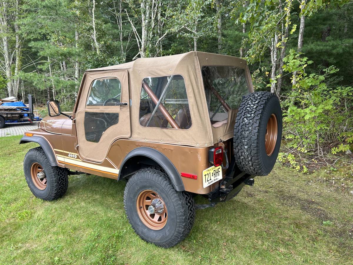 Jeep-Cj5-1980-brown-140013-3