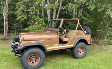 Jeep-Cj5-1980-brown-140013