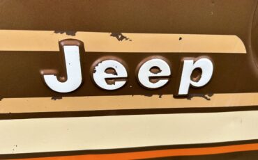 Jeep-Cj5-1980-brown-140013-7