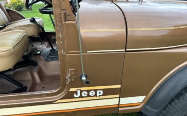 Jeep-Cj5-1980-brown-140013-9