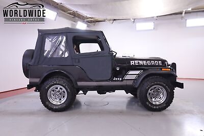 Jeep-Cj5-1981-Other-Other-7147-3