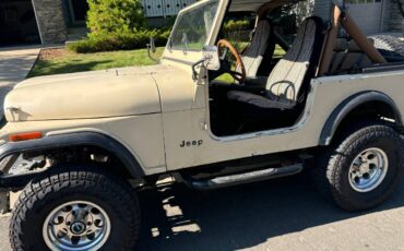 Jeep-Cj7-1984-brown-285756