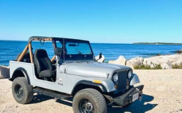 Jeep-Cj7-1985-grey-241401-11