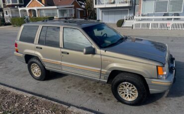 Jeep-Grand-cherokee-orvis-edition-1995-custom-262252-15