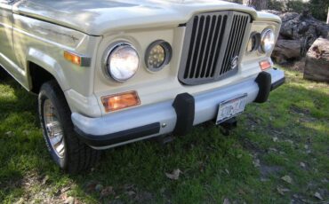 Jeep-Grand-wagoneer-1985-129-1