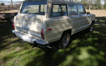 Jeep-Grand-wagoneer-1985-129-2