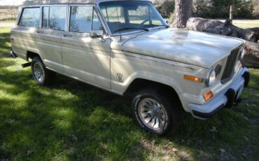 Jeep-Grand-wagoneer-1985-129