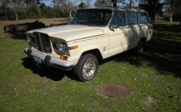 Jeep-Grand-wagoneer-1985-129-9