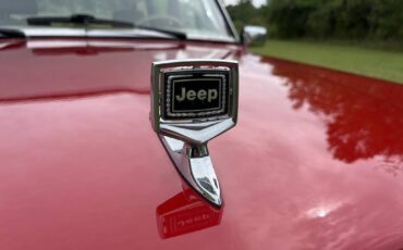 Jeep-Grand-wagoneer-1987-red-201168-8