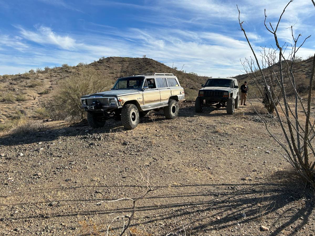 Jeep-Grand-wagoneer-1988-grey-289681-3