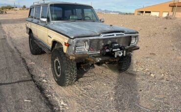 Jeep-Grand-wagoneer-1988-grey-289681-5