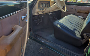 Jeep-J-10-Coupe-1978-Green-Tan-155068-12