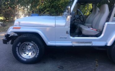 Jeep-Larado-1988-silver-257494-3