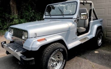 Jeep-Larado-1988-silver-257494-7