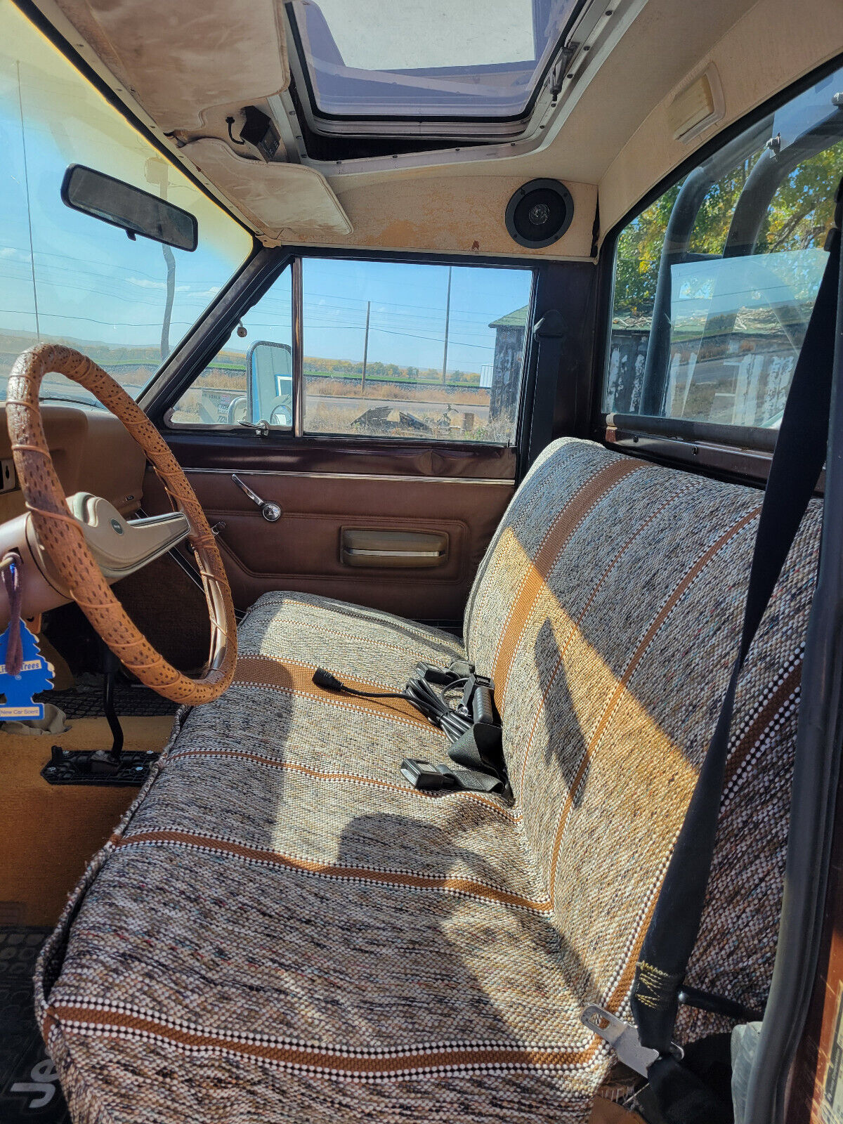 Jeep-Other-1977-Brown-217261-14