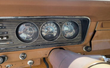 Jeep-Other-1977-Brown-217261-3