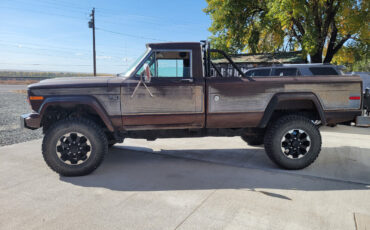 Jeep-Other-1977-Brown-217261-8