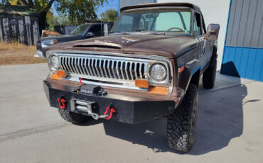 Jeep-Other-1977-Brown-217261-9