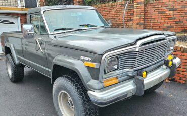 Jeep-Other-1983-Gray-290-9