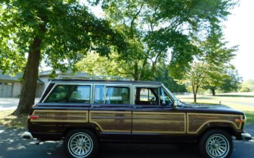 Jeep-Wagoneer-1988-245667-3