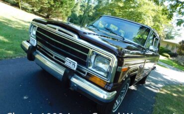 Jeep-Wagoneer-1988-245667