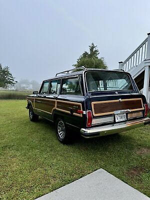 Jeep-Wagoneer-Break-1991-Blue-167372-7