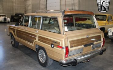 Jeep-Wagoneer-Cabriolet-1987-Gold-Brown-330633-3