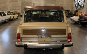 Jeep-Wagoneer-Cabriolet-1987-Gold-Brown-330633-4