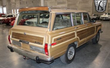 Jeep-Wagoneer-Cabriolet-1987-Gold-Brown-330633-5