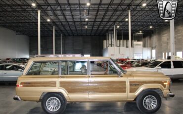 Jeep-Wagoneer-Cabriolet-1987-Gold-Brown-330633-6