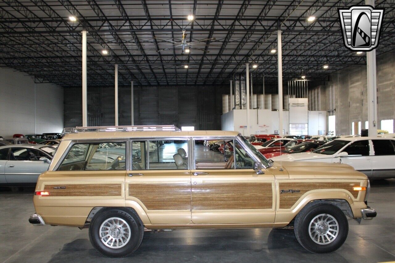 Jeep-Wagoneer-Cabriolet-1987-Gold-Brown-330633-6