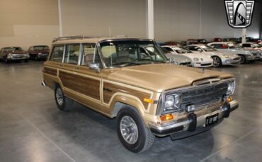 Jeep-Wagoneer-Cabriolet-1987-Gold-Brown-330633-7