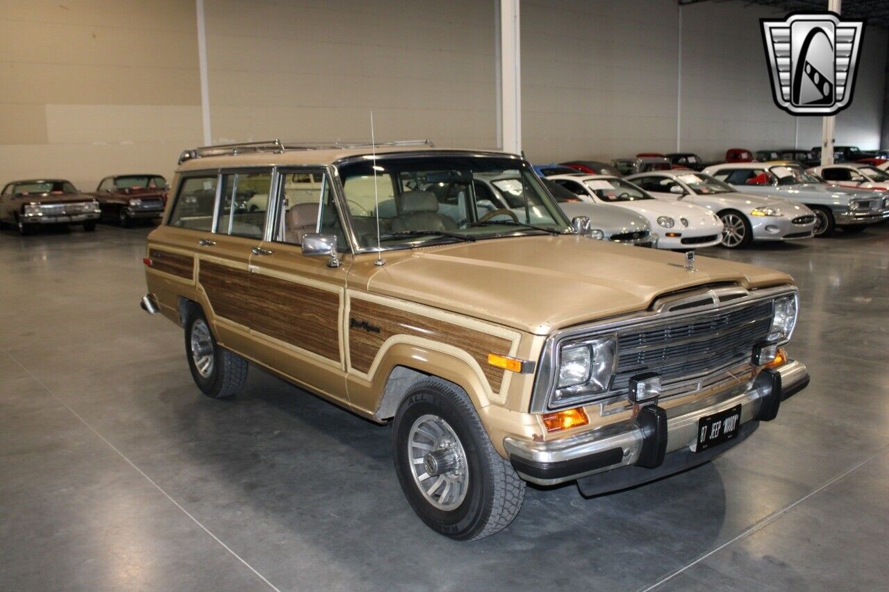 Jeep-Wagoneer-Cabriolet-1987-Gold-Brown-330633-7