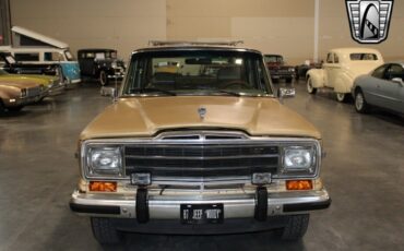 Jeep-Wagoneer-Cabriolet-1987-Gold-Brown-330633-8