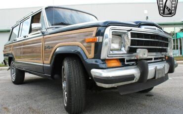 Jeep-Wagoneer-Cabriolet-1989-Blue-Tan-130387-10