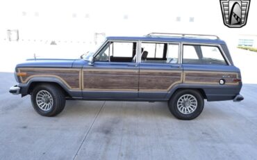 Jeep-Wagoneer-Cabriolet-1989-Gray-Red-219220-2