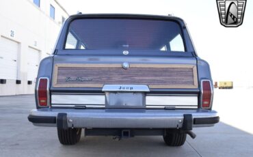 Jeep-Wagoneer-Cabriolet-1989-Gray-Red-219220-3