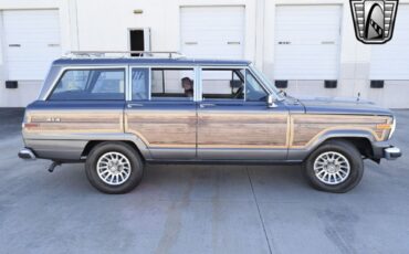 Jeep-Wagoneer-Cabriolet-1989-Gray-Red-219220-4