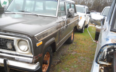 Jeep-Wagoneer-SUV-1978-Brown-Tan-99999-2