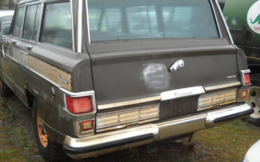 Jeep-Wagoneer-SUV-1978-Brown-Tan-99999-4