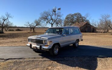 Jeep-Wagoneer-SUV-1987-Gray-Burgandy-239540-8