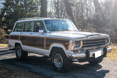 Jeep-Wagoneer-SUV-1990-White-Burgundy-198429-11