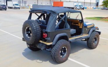 Jeep-Wrangler-1987-Black-Gray-128828-10