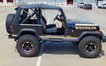 Jeep-Wrangler-1987-Black-Gray-128828-11