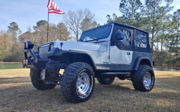 Jeep-Wrangler-1987-silver-268760-8