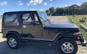 Jeep-Wrangler-1988-black-87709-17