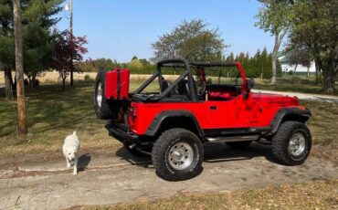 Jeep-Wrangler-1988-red-295488-9